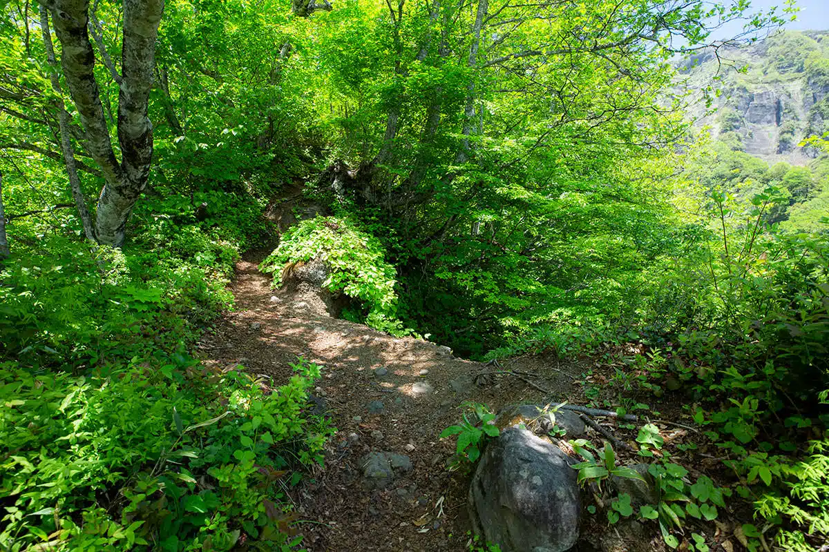 戸隠山登山 戸隠山-細尾根の登山道はちょっと外れると深い谷