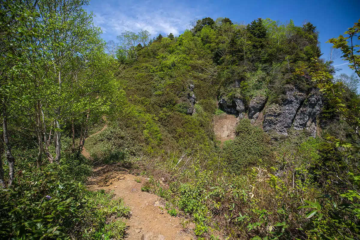 戸隠山登山 戸隠山-右下には岩壁を見ながらの登山道が続く