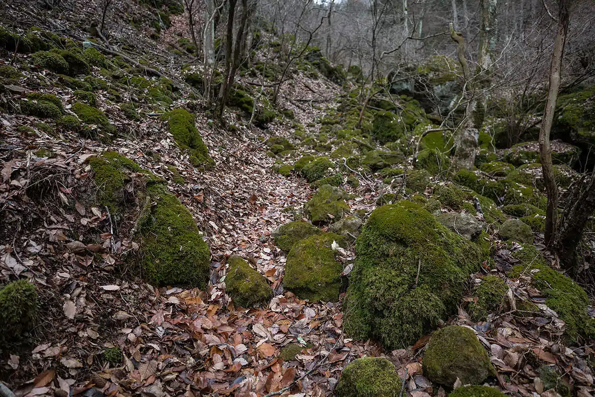 独鈷山登山 独鈷山-落ち葉と石がいっぱい