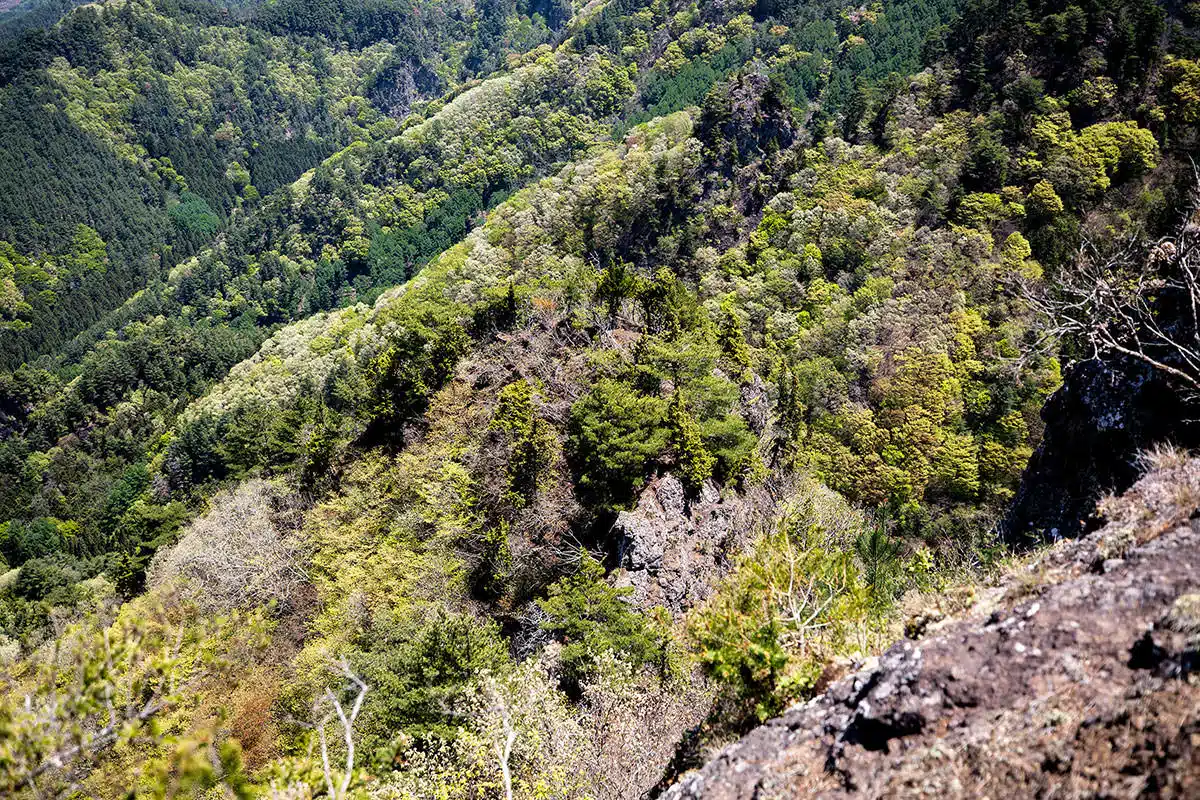 独鈷山登山 独鈷山-真下にある岩峰が緑に埋もれてる