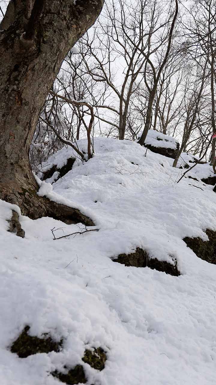 積雪期の独鈷山 （1月）｜沢山池から登り西前山を下りる