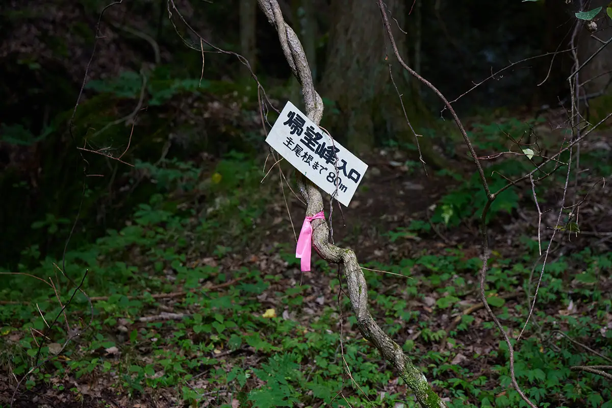 独鈷山登山 前はこんなの無かったと思う
