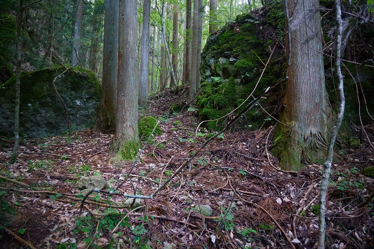 独鈷山登山 森の中、岩の間を通って行く