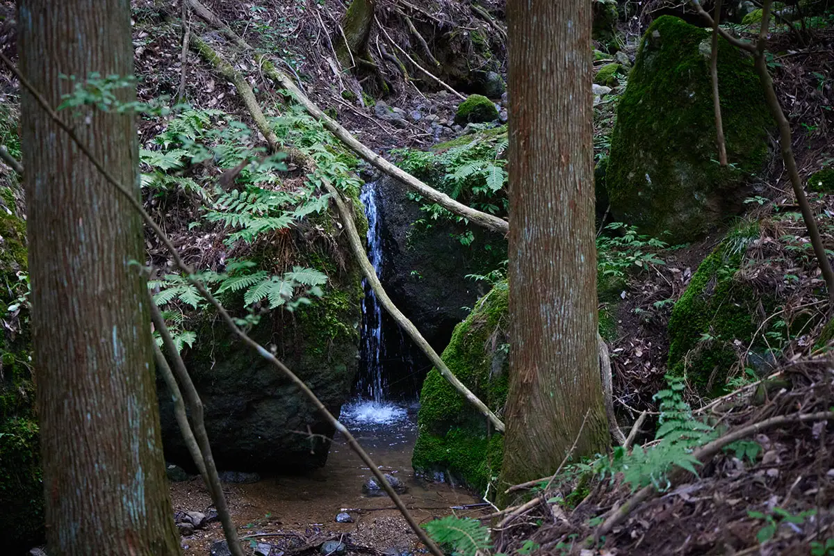 独鈷山登山 小さな沢が流れてる