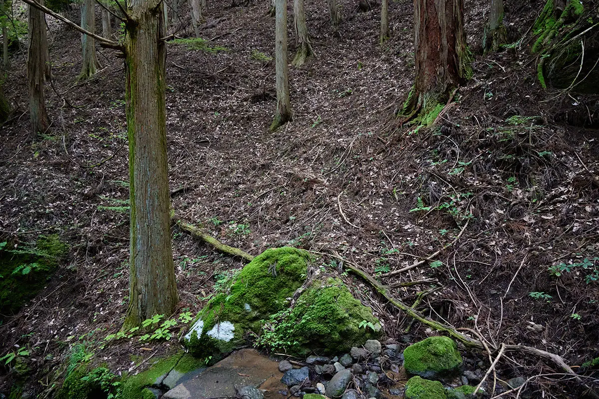 独鈷山登山 尾根へ向かう斜面に取り付く