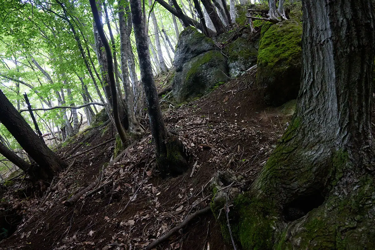 独鈷山登山 尾根に向かって登っていく