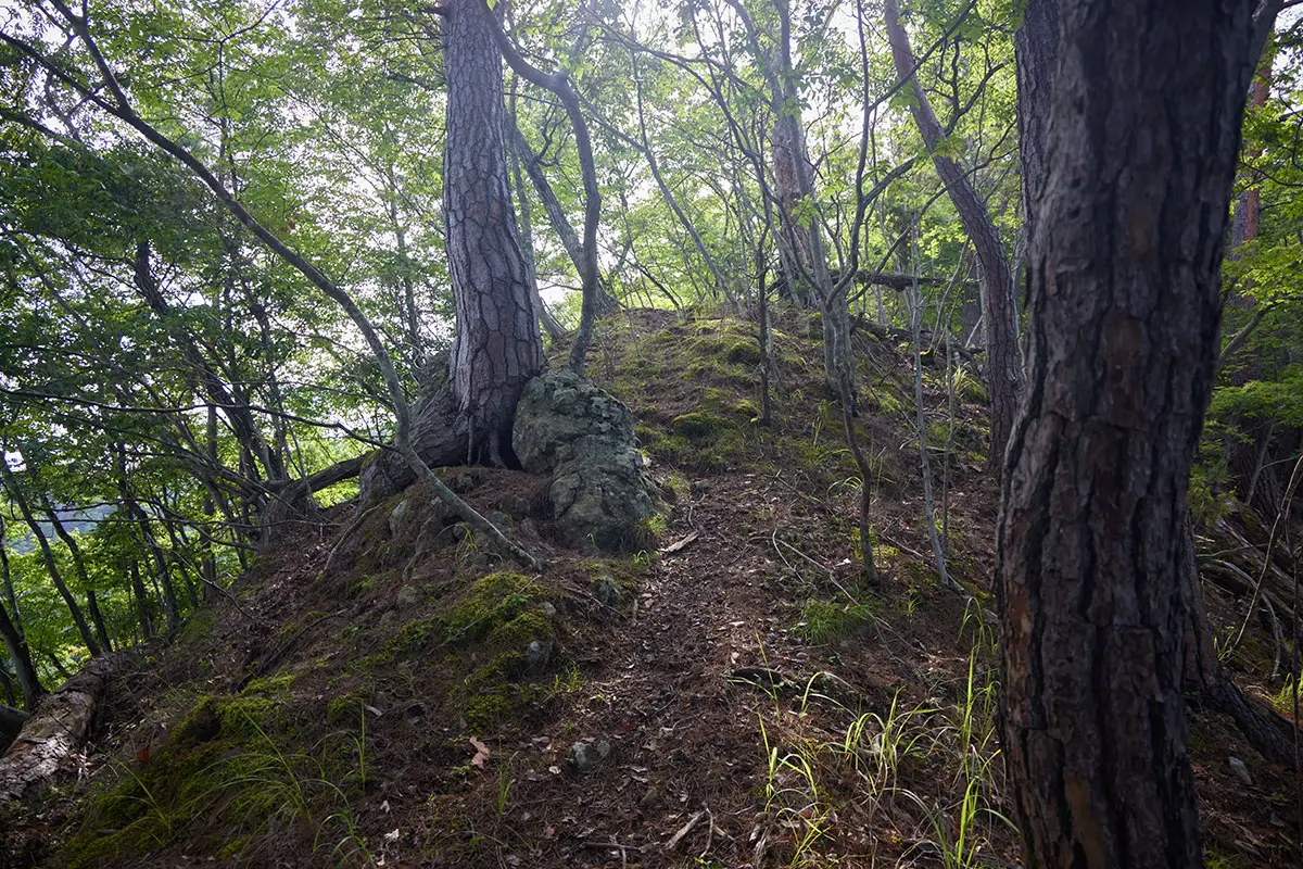 独鈷山登山 尾根の上に出た
