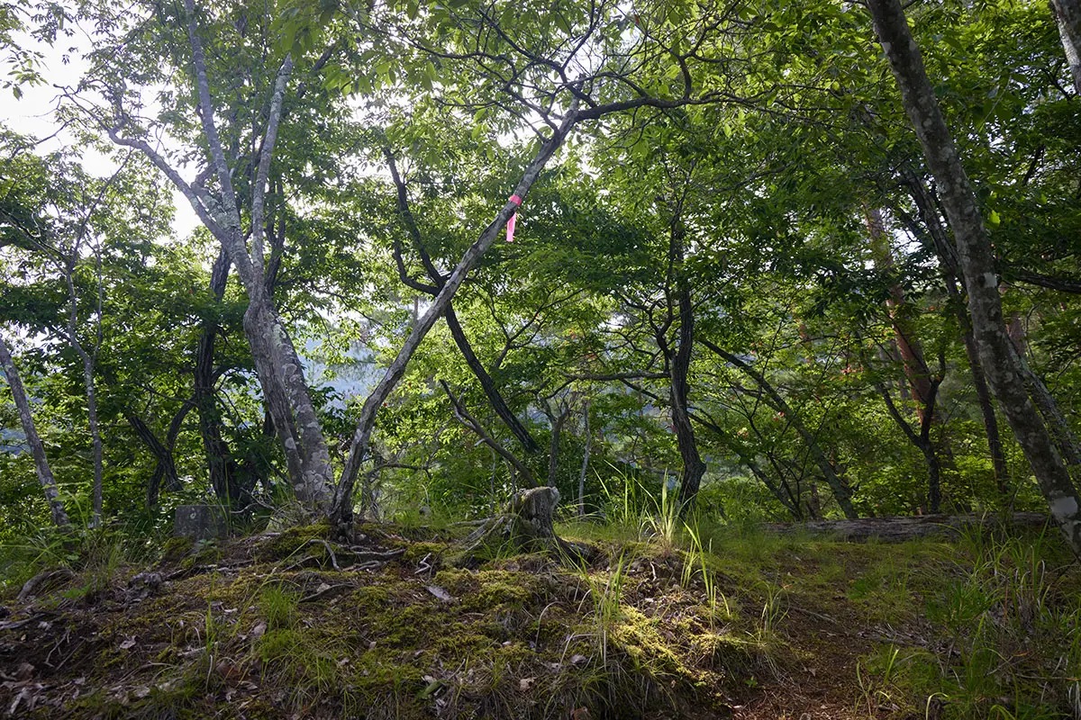 独鈷山登山 最初のピークに三角点が埋まっている