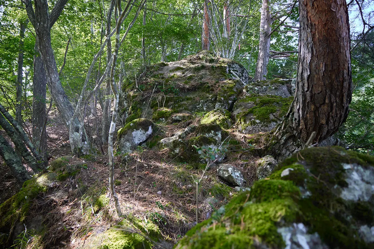 独鈷山登山 大きな石がチラチラとあり、実は岩尾根なんだなと思う