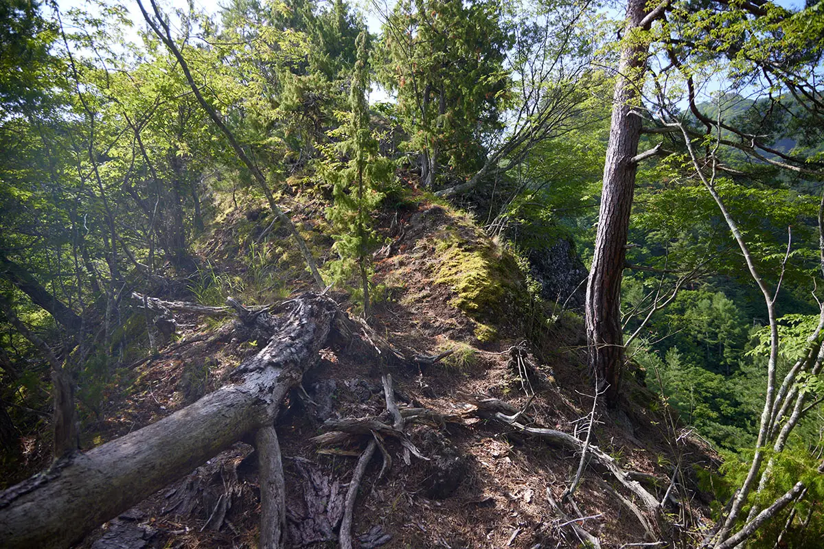 独鈷山登山 尾根はだいぶ細くなった