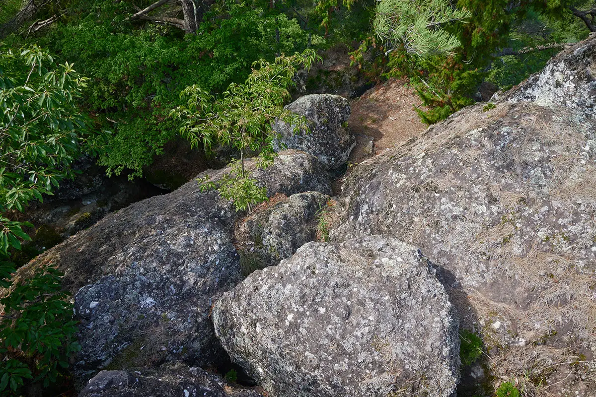 独鈷山登山 藍ノ岩を下りる