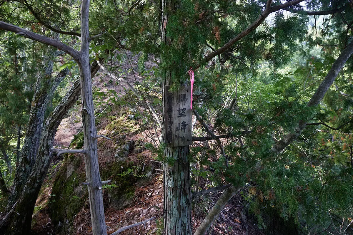 独鈷山登山 藍ノ岩を下りたら帰望峰はさらに下りるんだと書いてある
