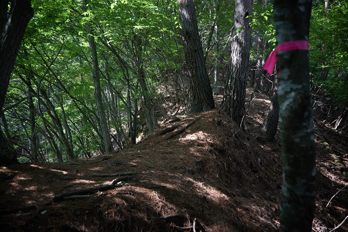 独鈷山登山 尾根の上に戻ってきた