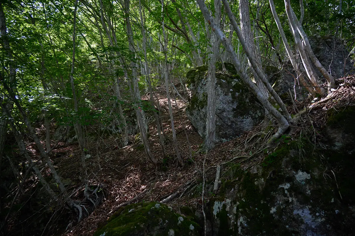 独鈷山登山 岩が多いなかを登る