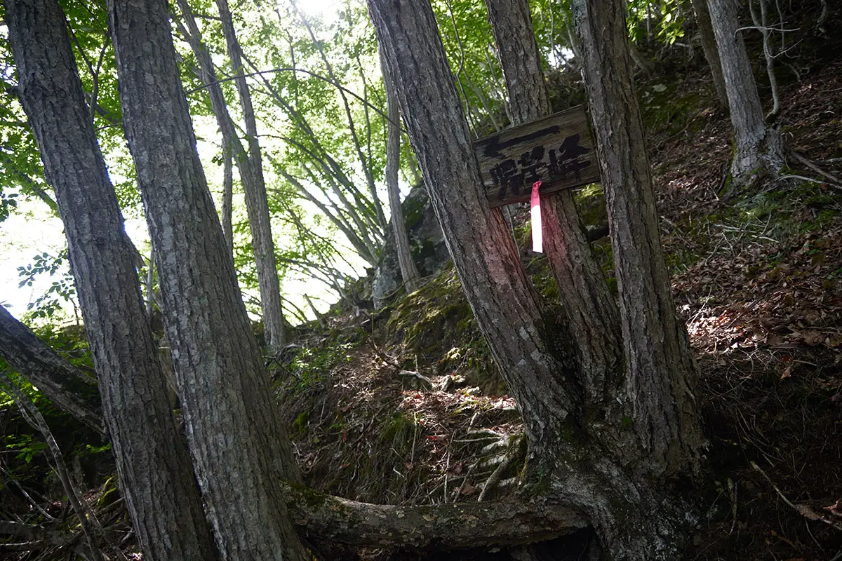 独鈷山登山 けっこうな急斜面