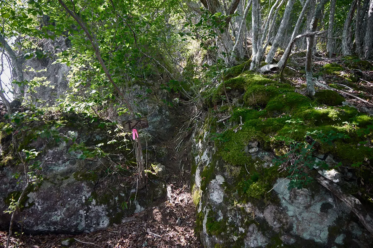 独鈷山登山 帰望峰は真っ直ぐ行くか右へ行くか、すぐそこを登った先で合流する