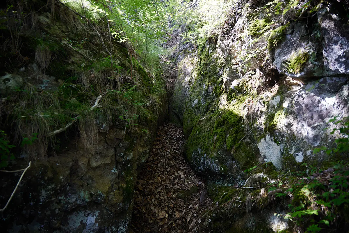 独鈷山登山 真っ直ぐに進んでみたけれど細いところに入れない