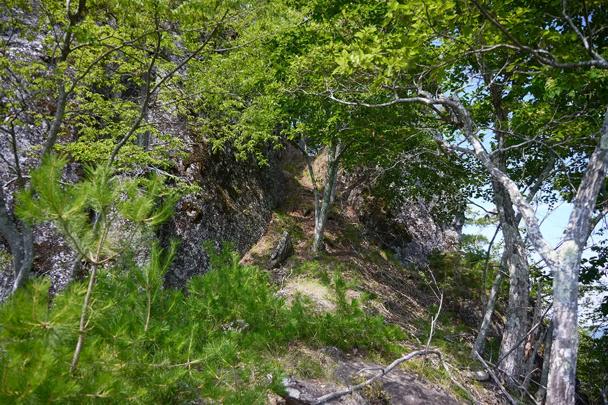 独鈷山登山 木が開けて明るくなった