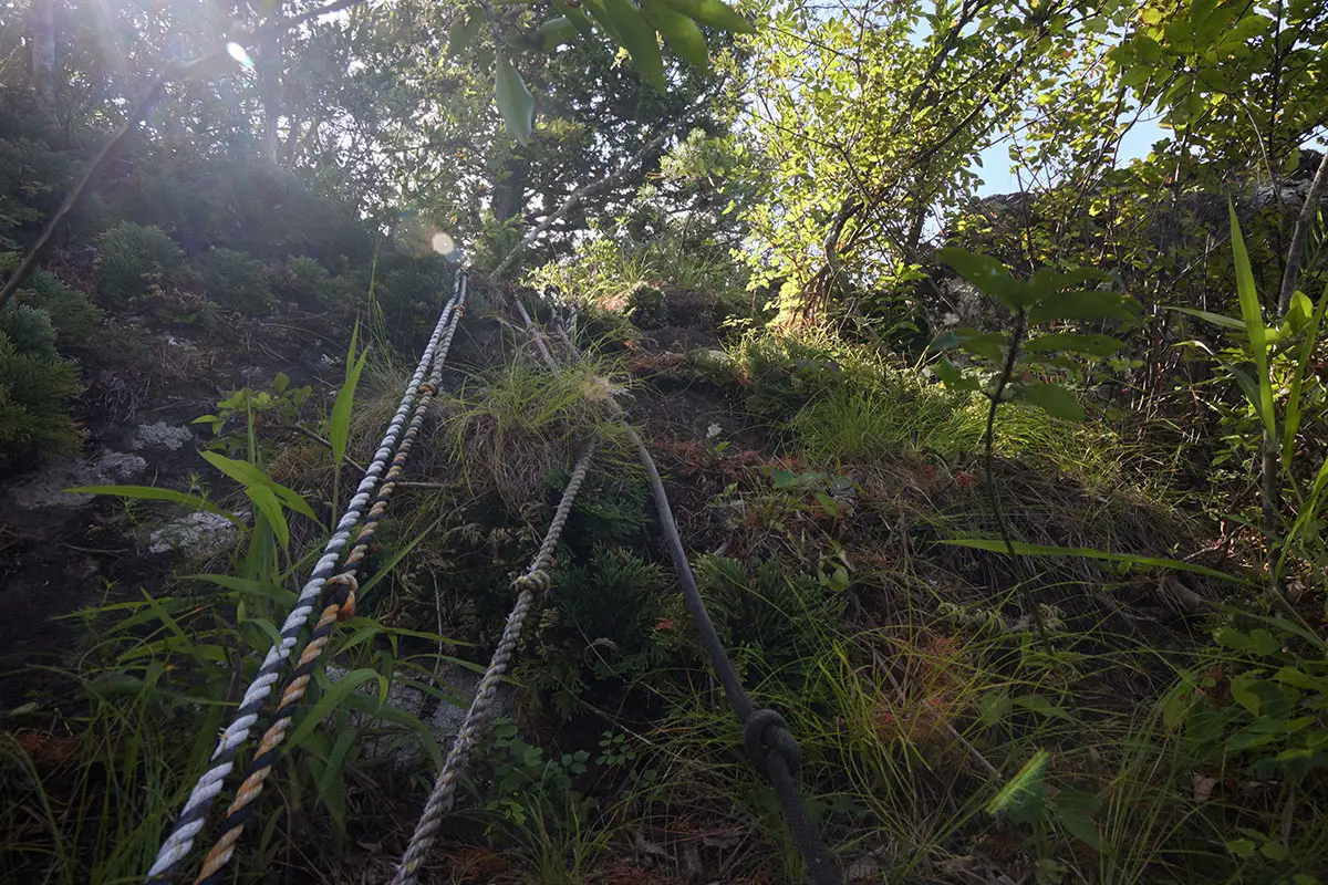 独鈷山登山 ロープの先へ登る