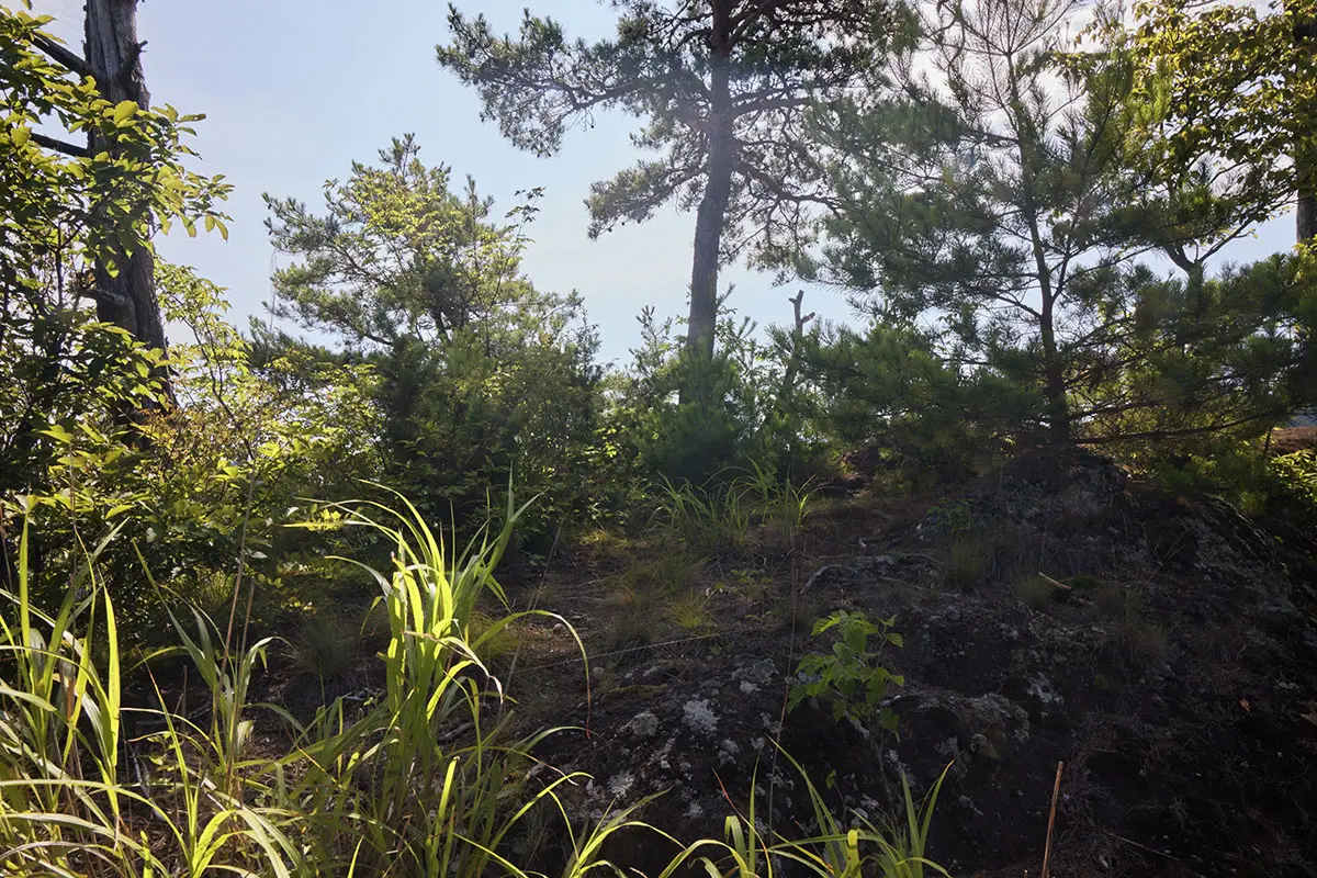 独鈷山登山 登り切ったところは帰望峰