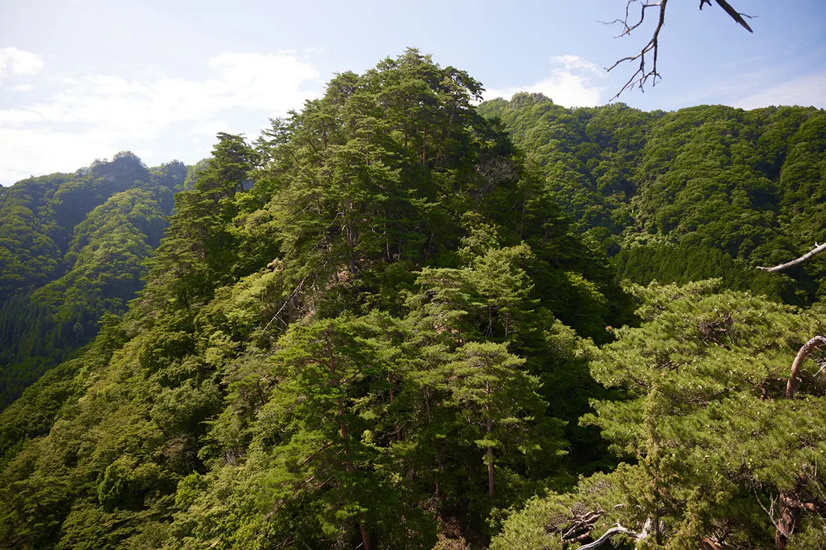 独鈷山登山 竜王山が間近に見える