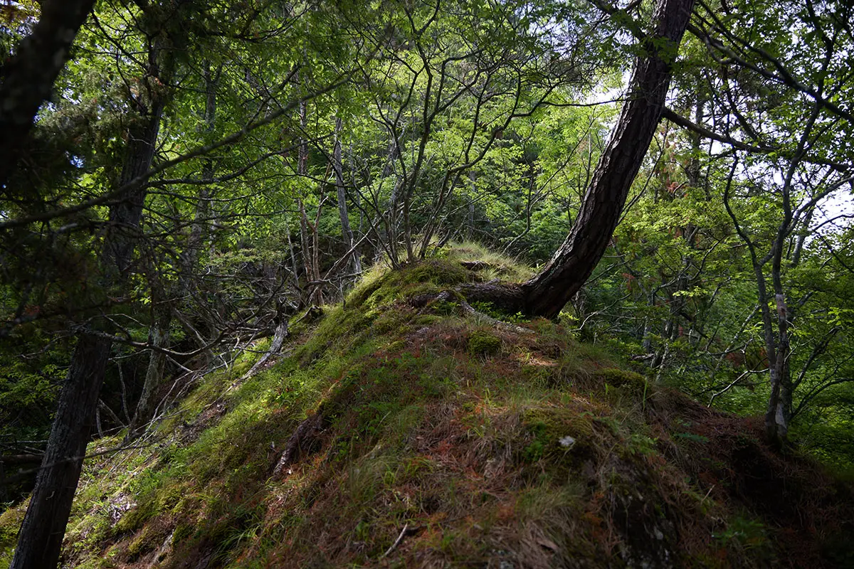 独鈷山登山 細尾根を登る