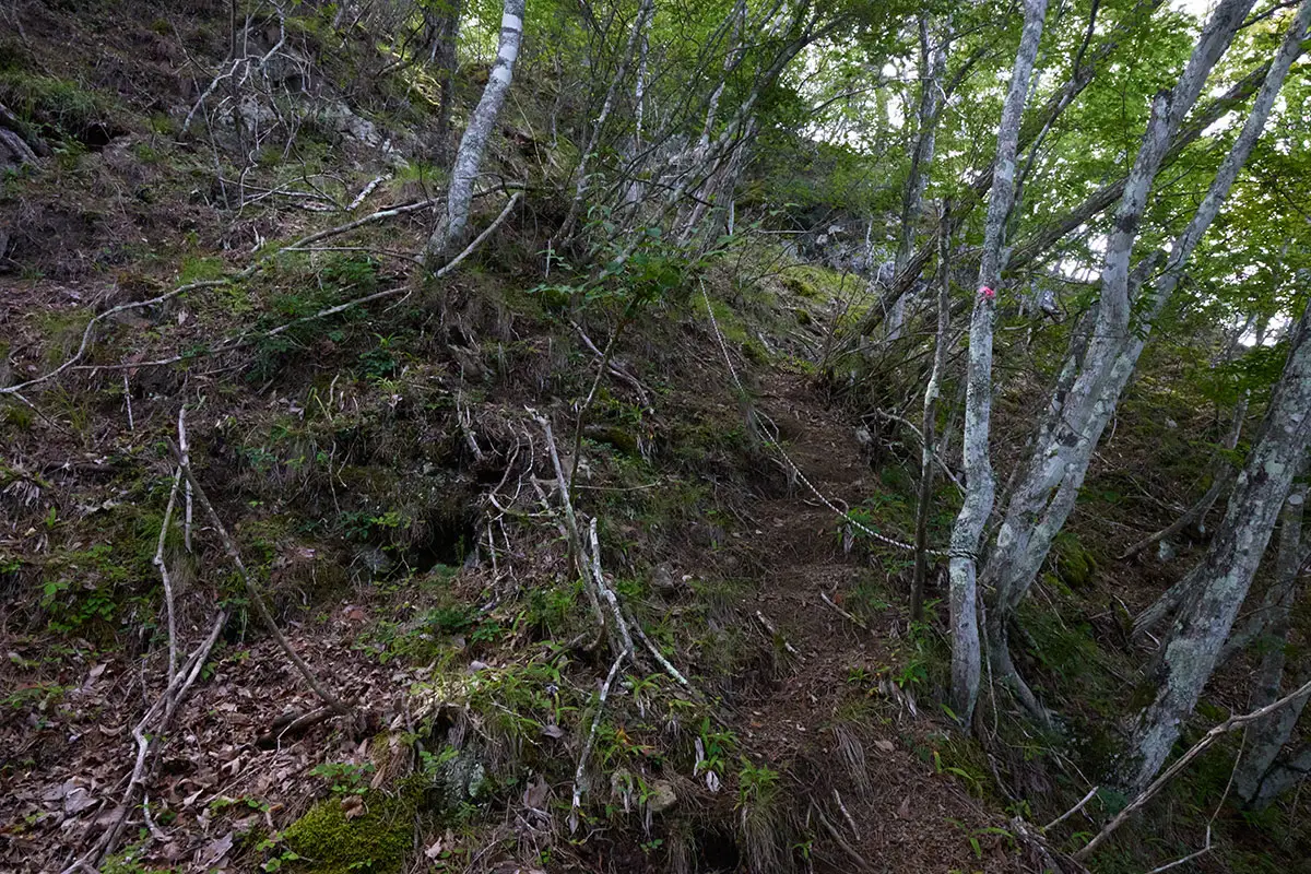 独鈷山登山 細い尾根の次は急な斜面