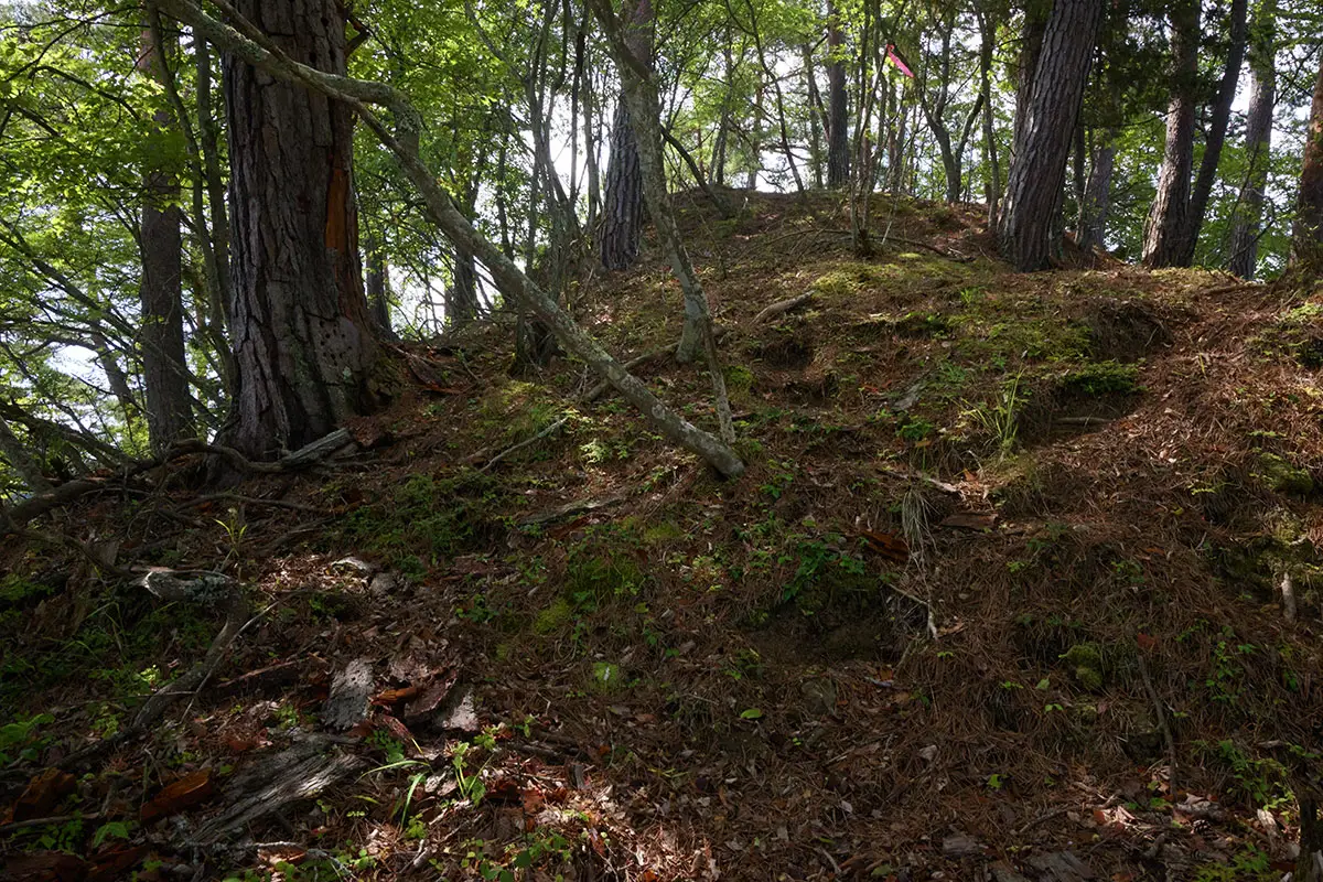 独鈷山登山 先が明るくなってきた