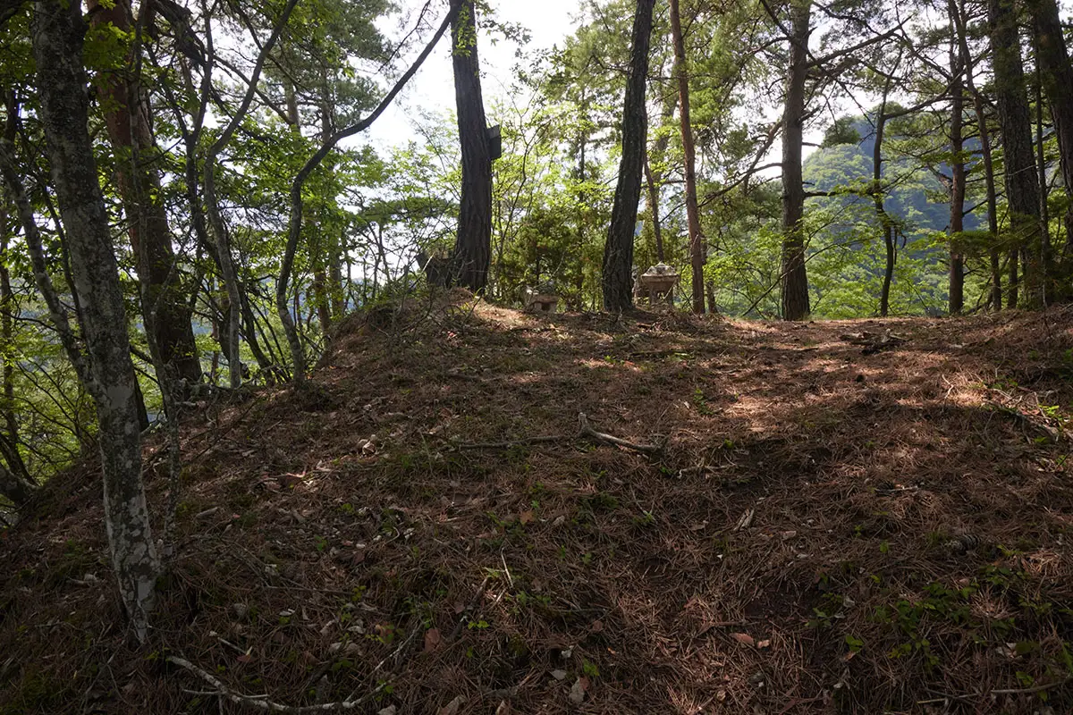 独鈷山登山 竜王山に到着