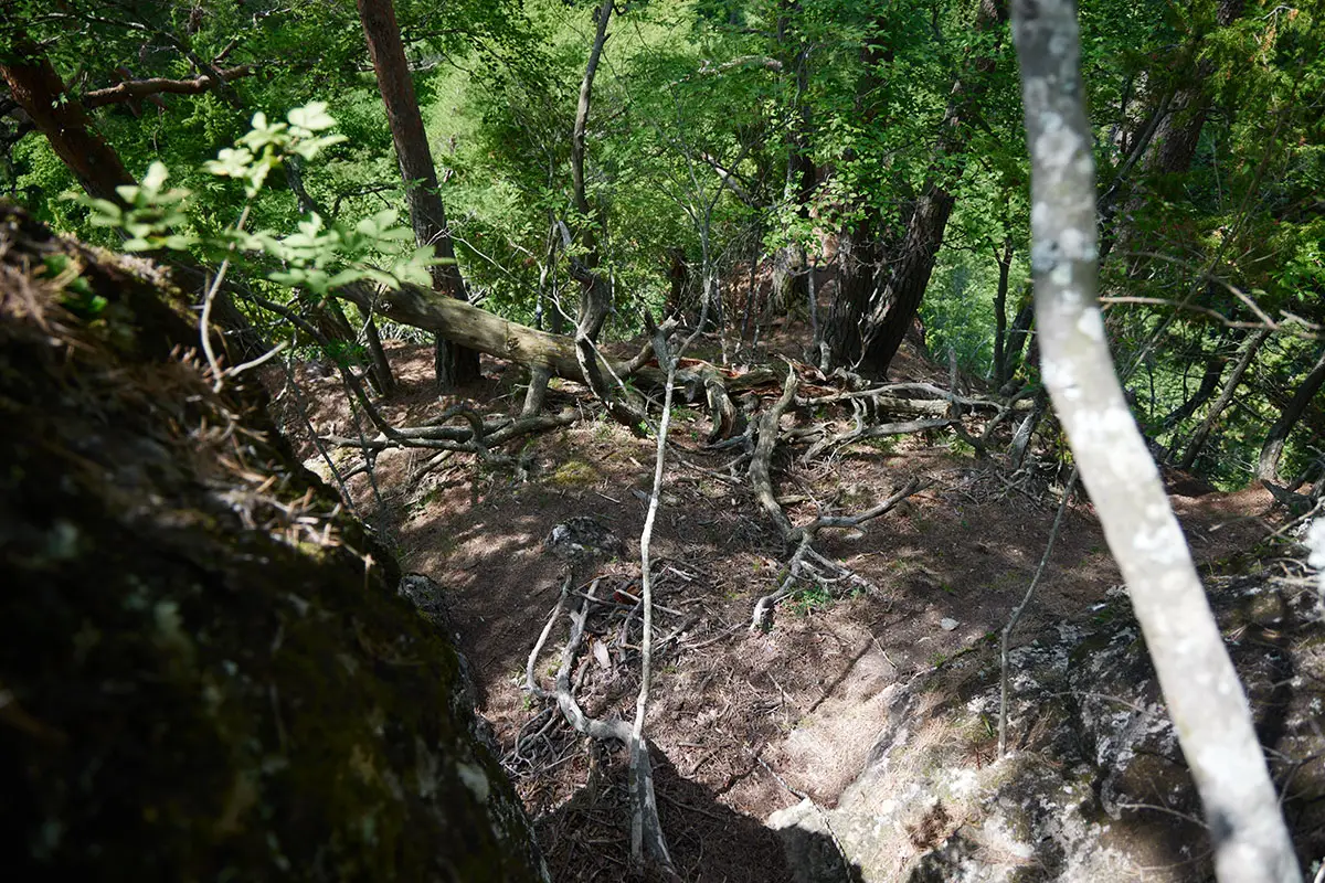 独鈷山登山 竜王山を下りる