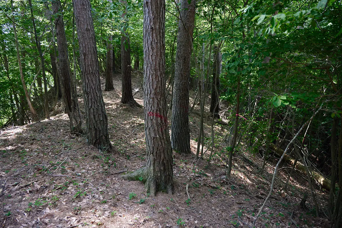 独鈷山登山 一般登山道との分岐点