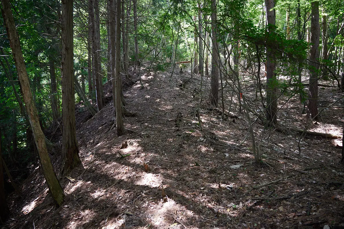 独鈷山登山 尾根道をまっすぐに進むことに