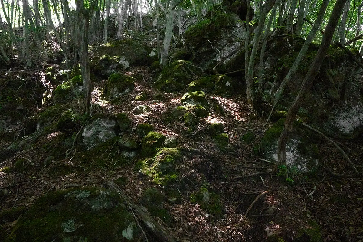 独鈷山登山 暗い森と岩の登りは北八ヶ岳っぽいなと思う