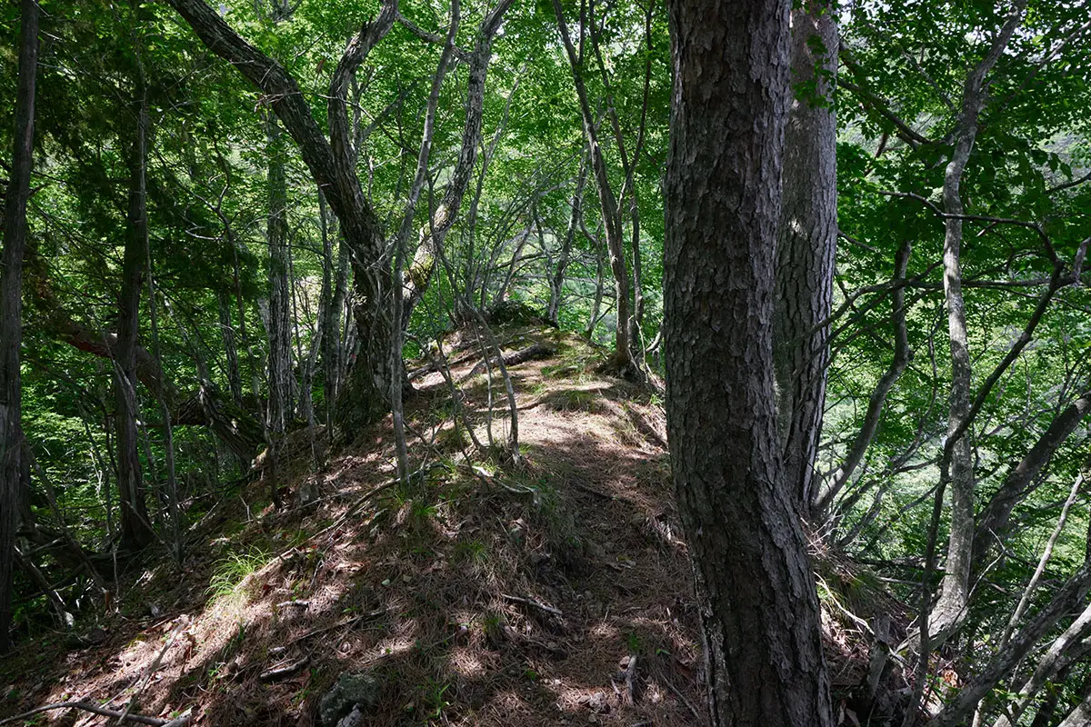 独鈷山登山 細い尾根になった