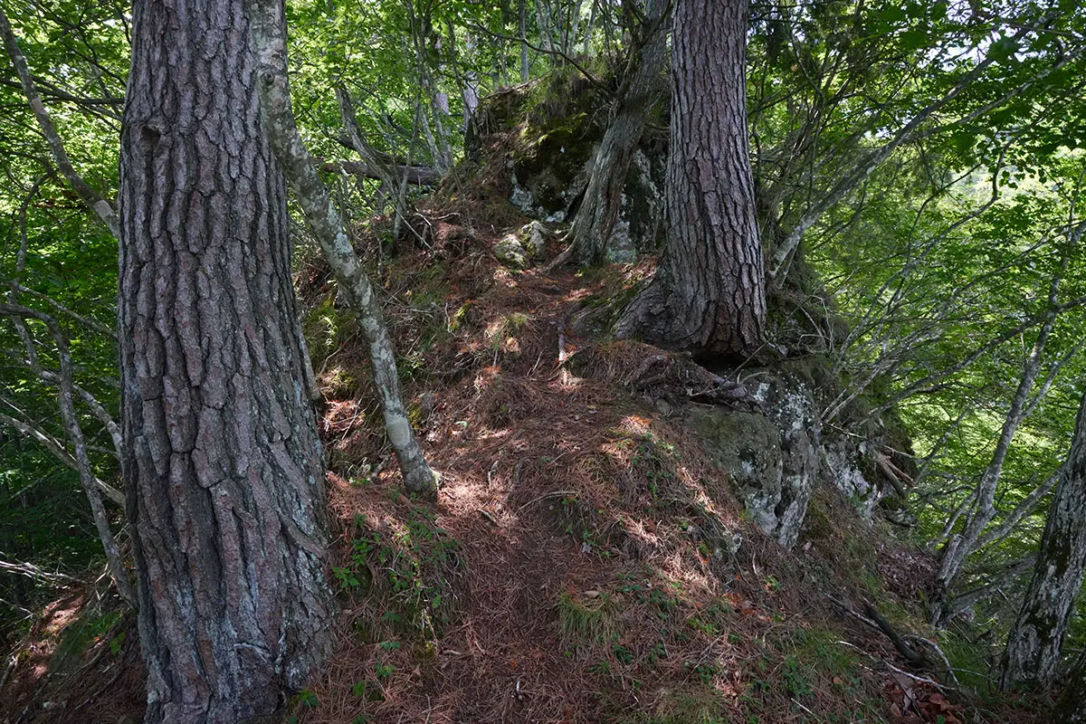 独鈷山登山 細尾根なのに登りはキツい