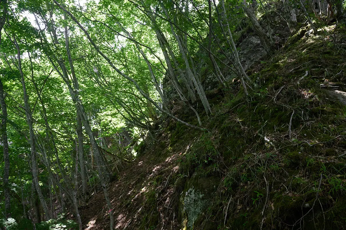 独鈷山登山 大きな岩の塊が見えてきた