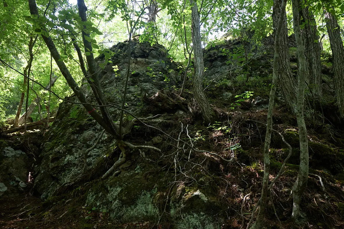 独鈷山登山 どこを登れば良いのか周りをウロウロする