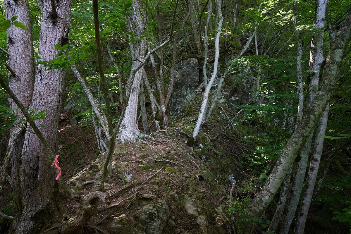 独鈷山登山 登ったら細い尾根