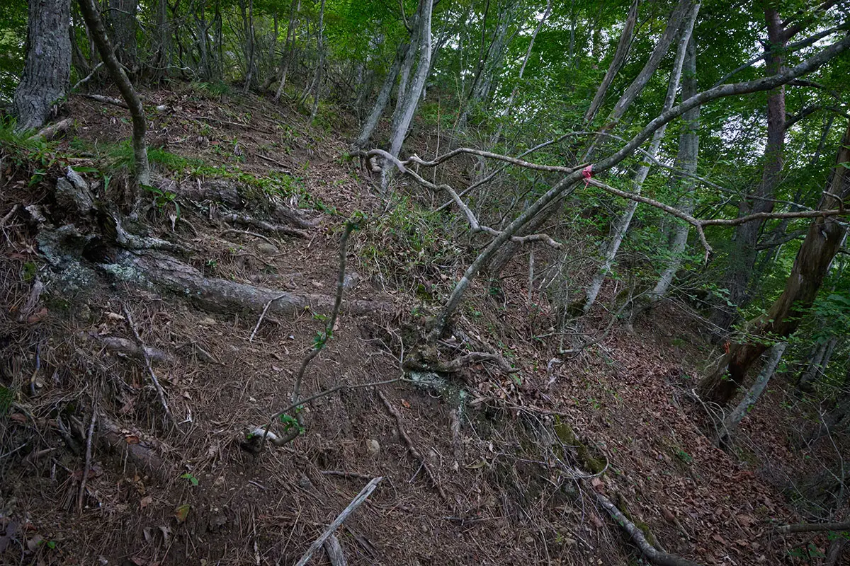 独鈷山登山 ここからが核心部