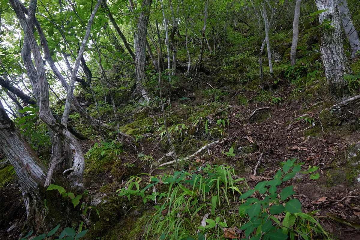 独鈷山登山 壁のような登り