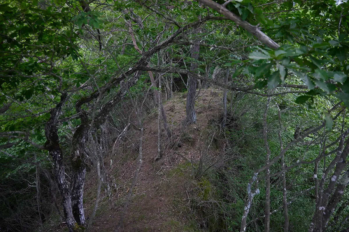独鈷山登山 細尾根は続く