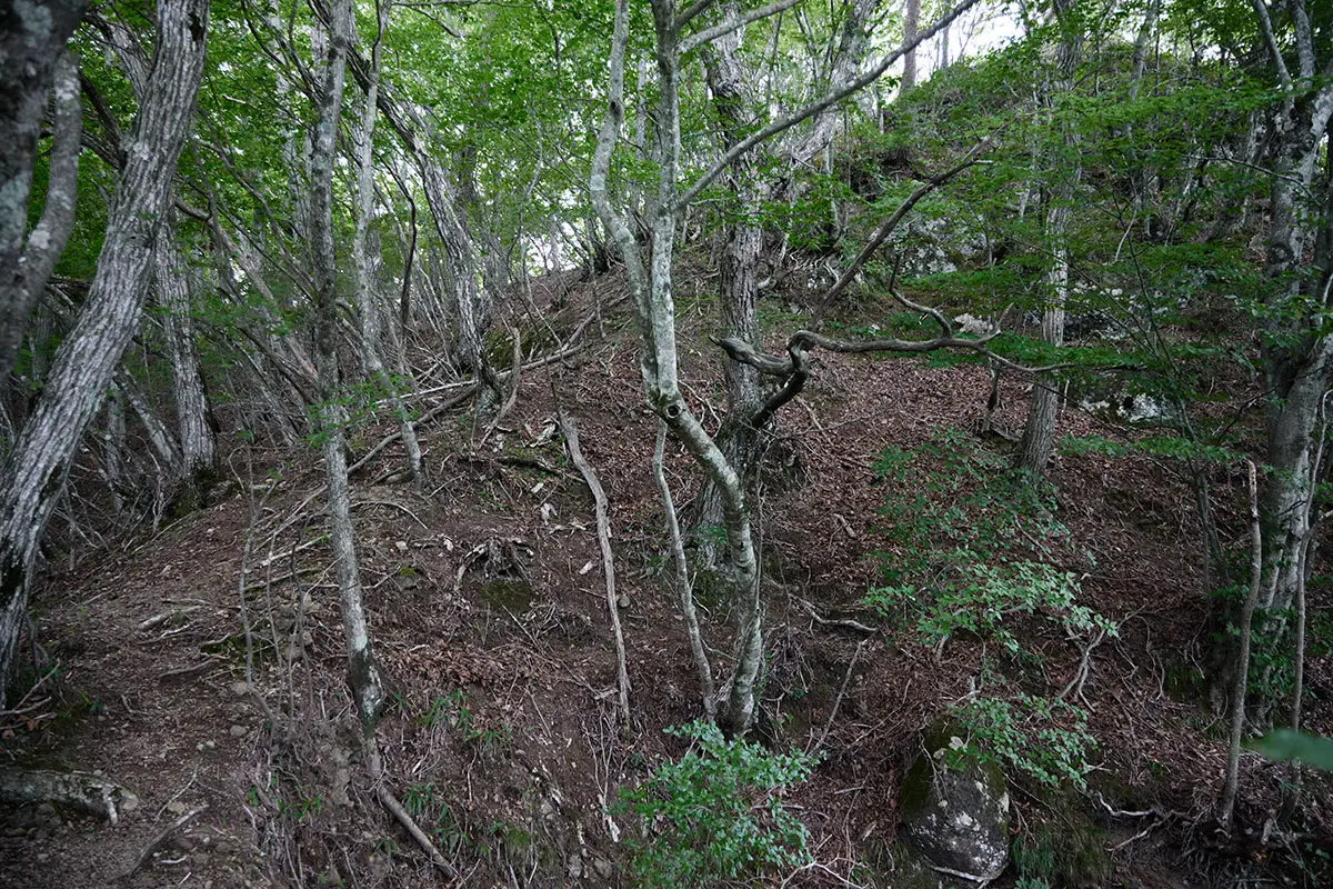 独鈷山登山 まだ登る