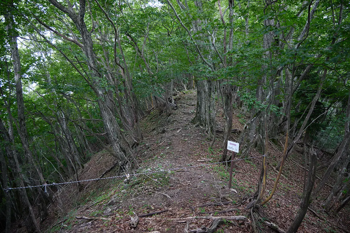 独鈷山登山 平井寺からの登山道と合流した