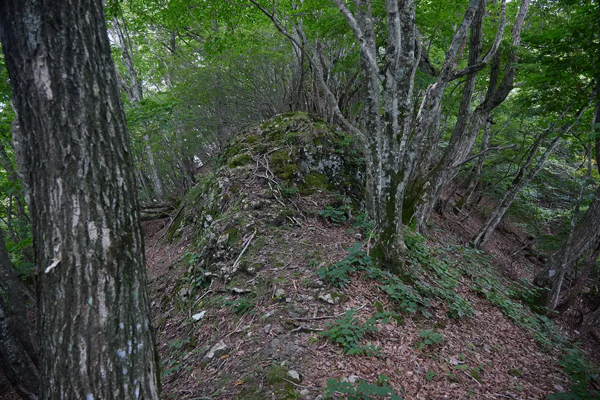 独鈷山登山 一般登山道になったのだけど見た目には変わらない
