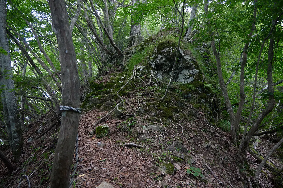 独鈷山登山 ここを登ると山頂までもうすぐ