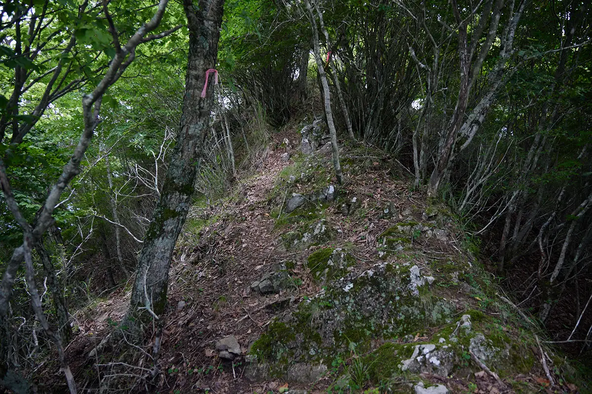 独鈷山登山 先が明るく見えてきた