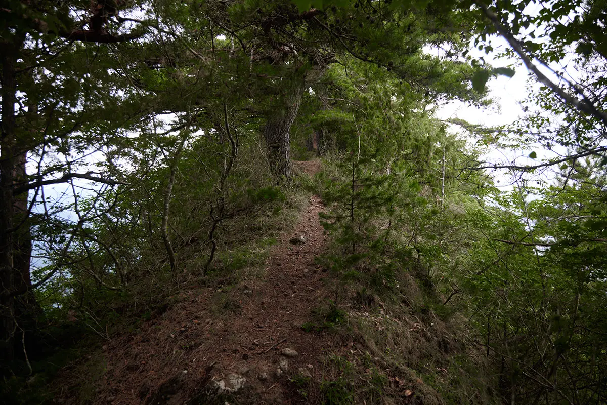 独鈷山登山 細い尾根を過ぎる