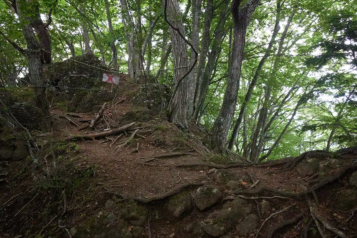 独鈷山登山 鉄城山との分岐を右へ下りる