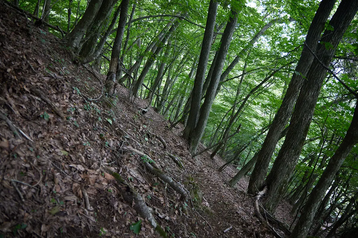 独鈷山登山 西前山の登山道もそれなりに急な斜面