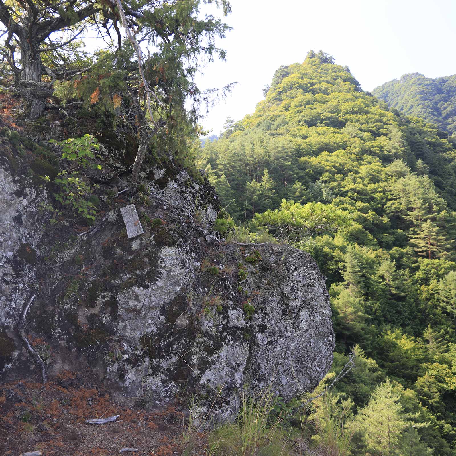 独鈷山帰望峰周回 （7月）｜岩と急登の破線ルート